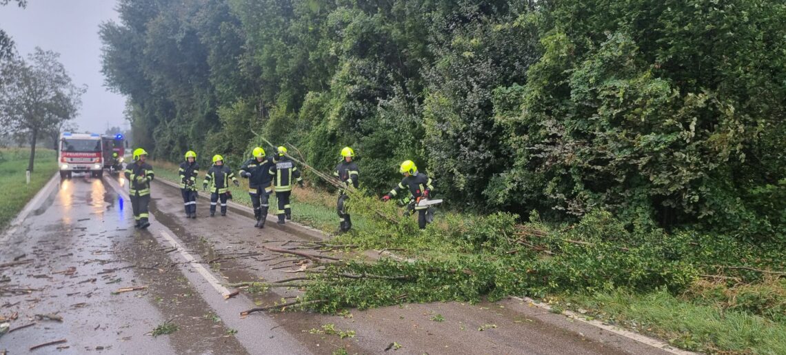 89 – Technischer Einsatz – Baum auf Straße