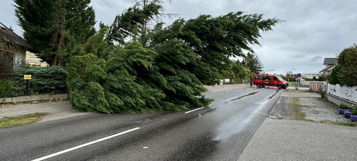 91 bis 97 – Technische Einsätze – Sturm und Unwetter über Pottendorf