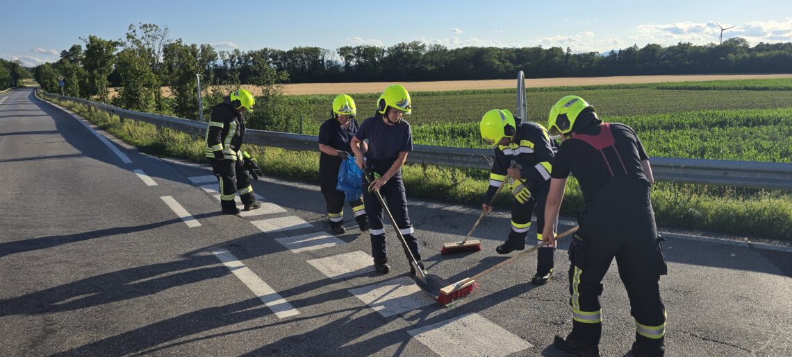 67 – Technischer Einsatz – Hilfeleistung